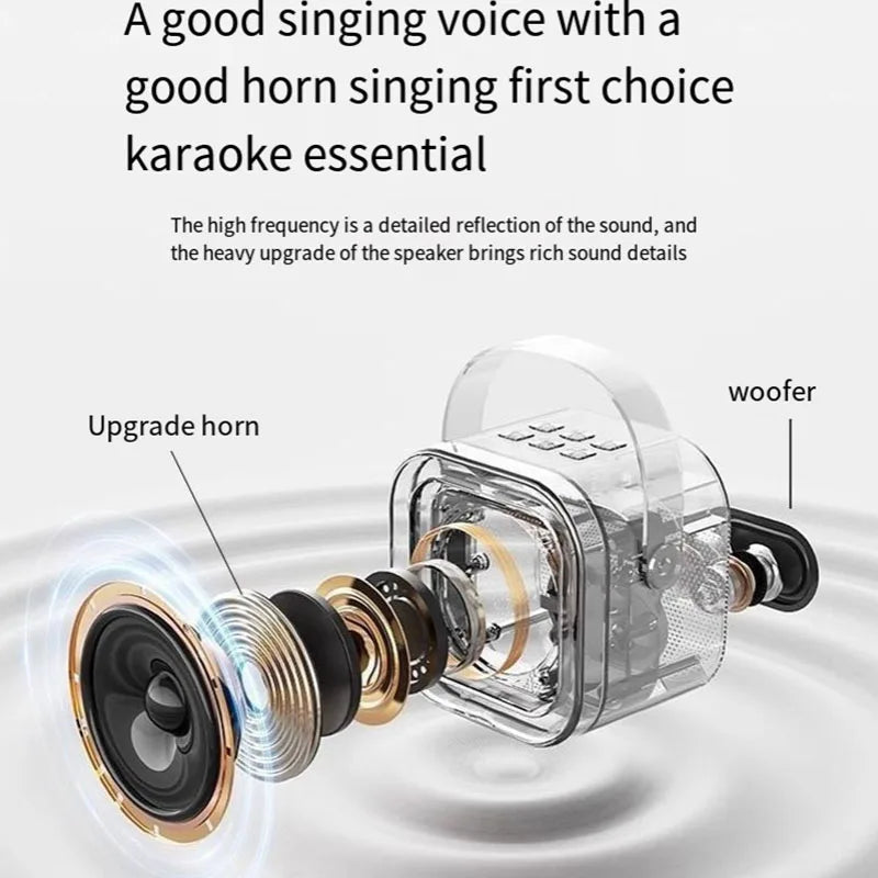 Kit Karaoke (1 Microfone)