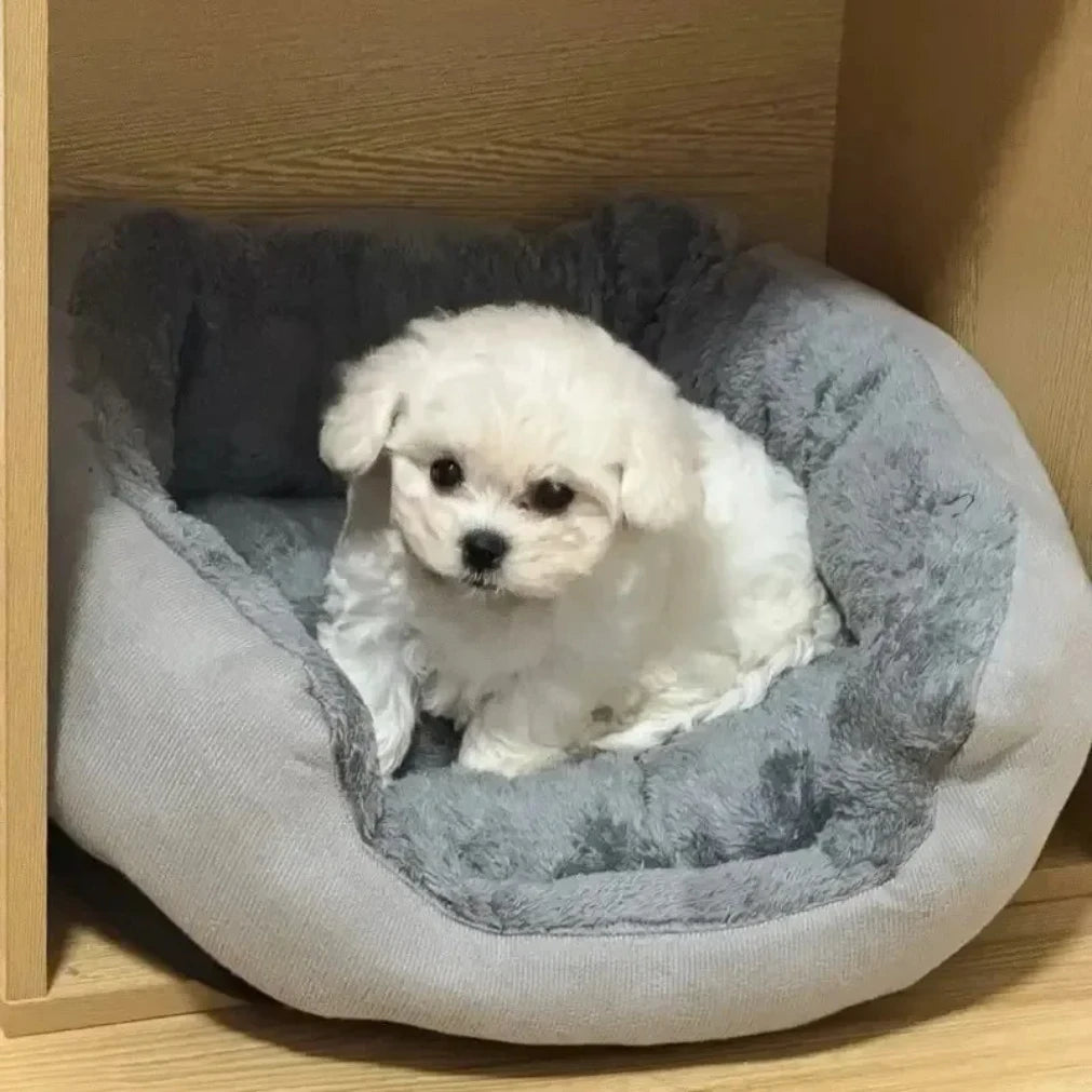 Cama Macia e Quente para Animais de Estimação